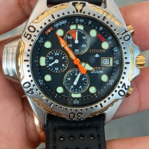 Citizen Promaster